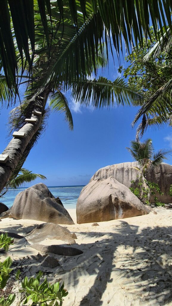 6 Destinos com as Praias Mais Bonitas do Mundo que Precisa de Visitar anse source d