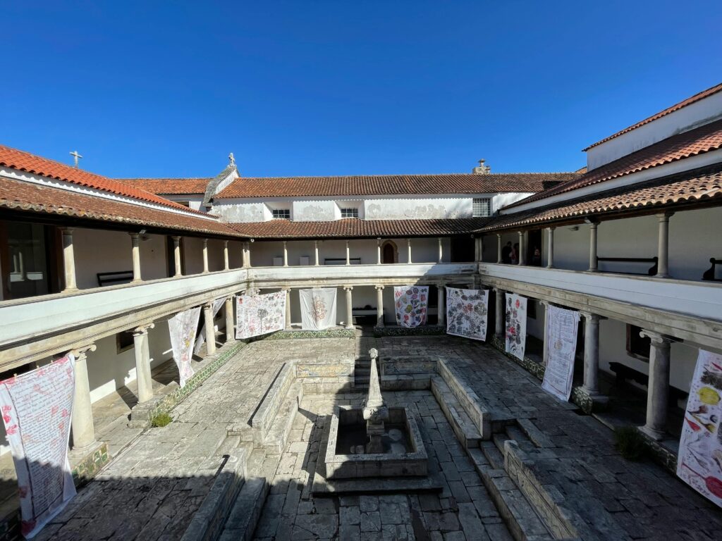 museu de arte nova 2